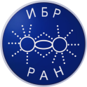 ИБР